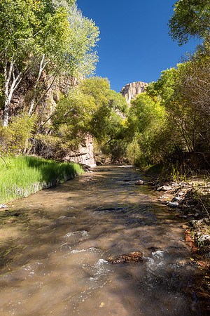 Arizona 2022
