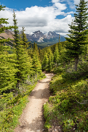 Pacific NW 2019