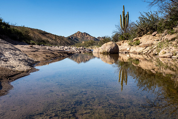 Arizona 2020