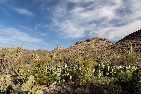 Arizona 2021