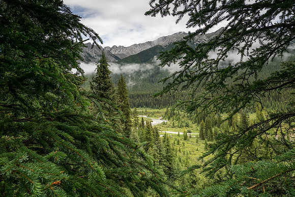 Banff National Park 2025