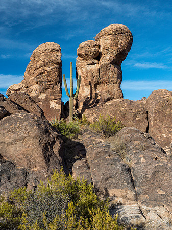 Arizona 2018