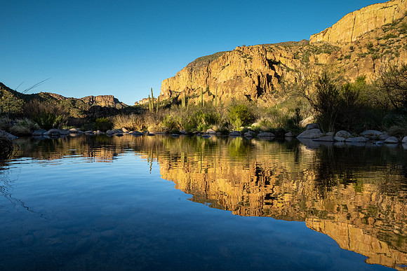 Arizona 2020