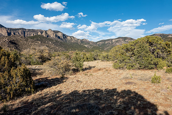 New Mexico 2025