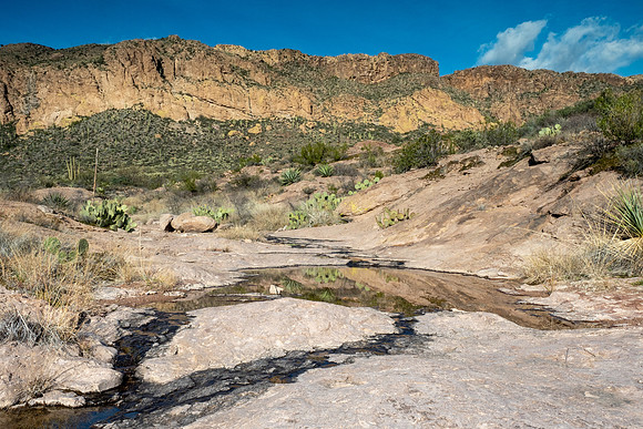 Arizona 2019