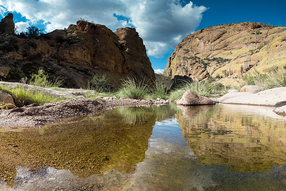 Arizona 2018