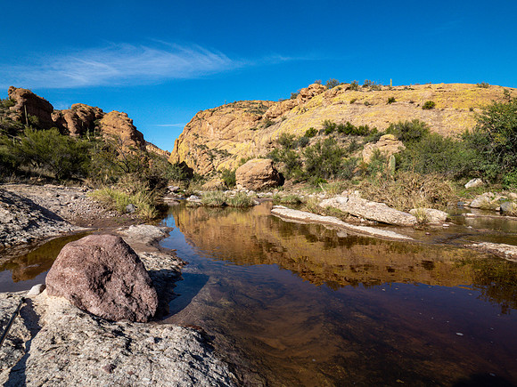 Arizona 2019