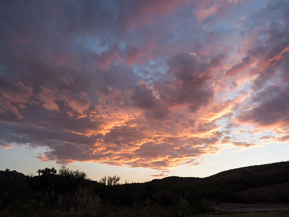 Arizona 2018