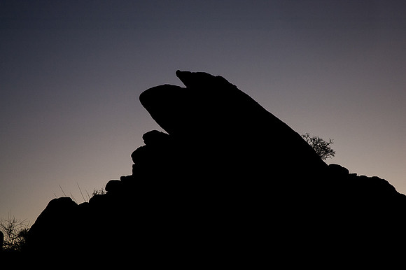 Joshua Tree National Park
