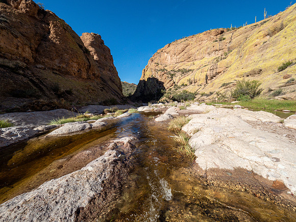 Arizona 2019