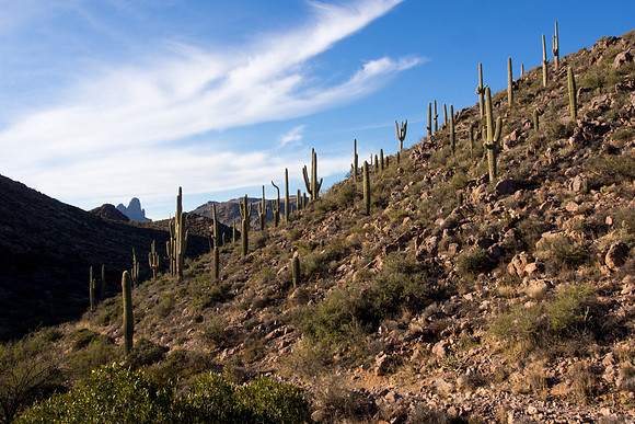 Arizona 2013 - Superstitions Hike Bluff Spring Loop
