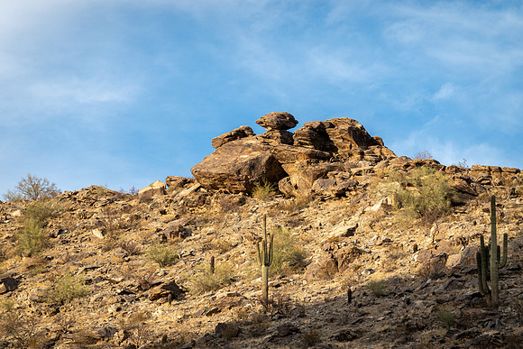 Arizona 2020
