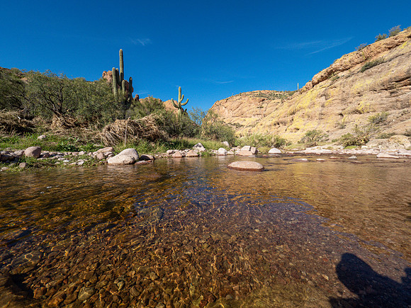 Arizona 2019