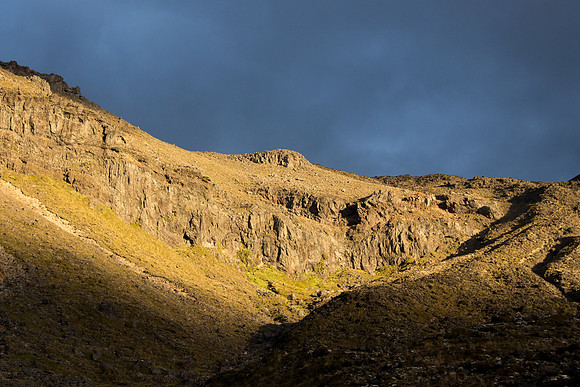 New Zealand 2013