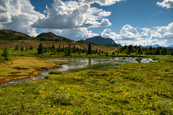 Banff National Park 2025