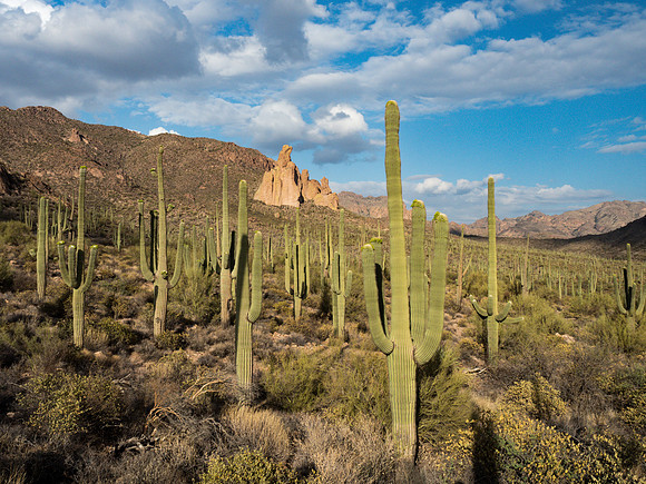 Arizona 2018