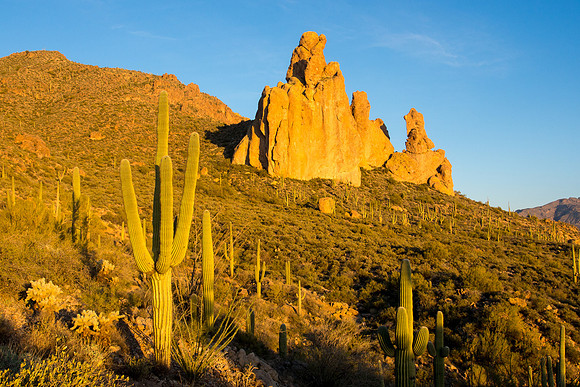 Arizona 2013 - Superstitions Hike Bluff Spring Loop