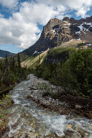 Pacific NW 2019