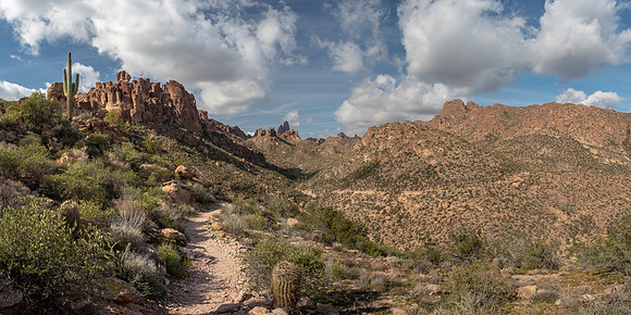 Arizona 2019