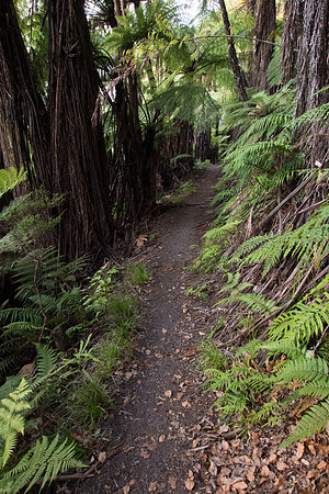 New Zealand 2013