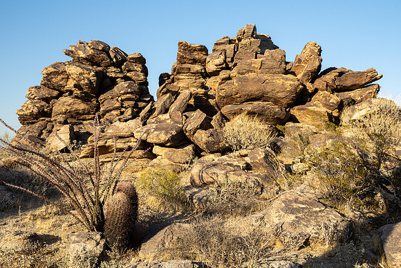 Arizona 2021
