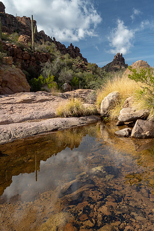 Arizona 2019
