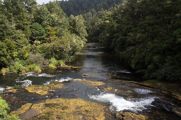New Zealand 2013