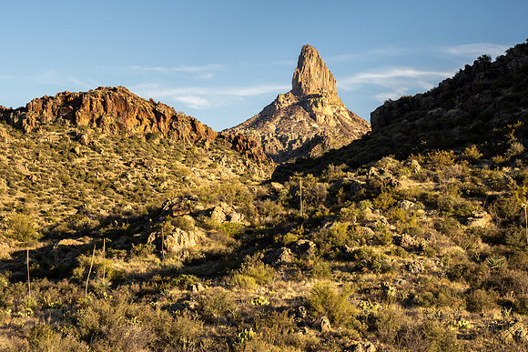 Arizona 2021