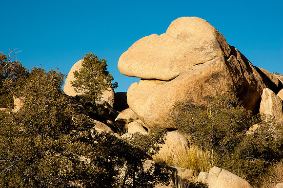 Joshua Tree National Park