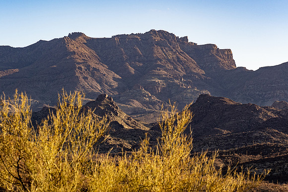 Arizona 2021
