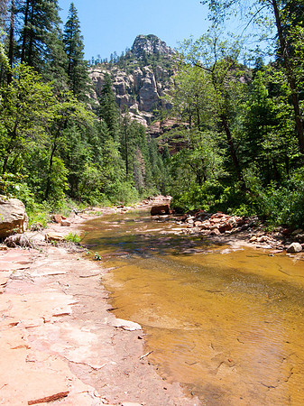 Arizona 2005