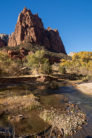 Zion National Park 2024