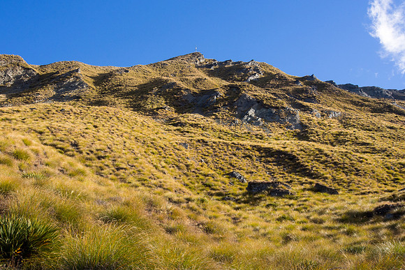 New Zealand 2013