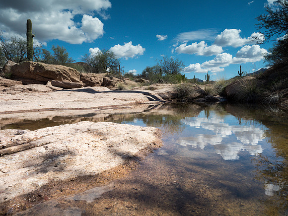 Arizona 2018