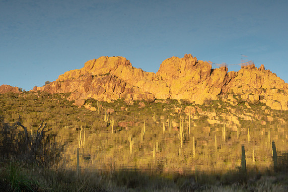 Arizona 2019