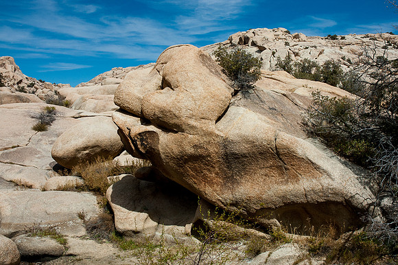 Joshua Tree National Park