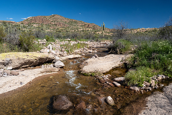 Arizona 2020