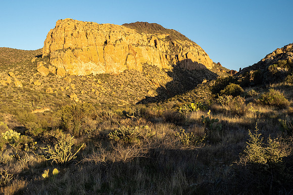 Arizona 2021
