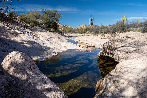 Arizona 2020