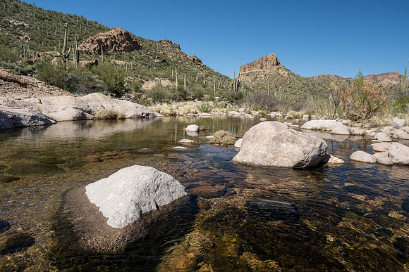 Arizona 2020