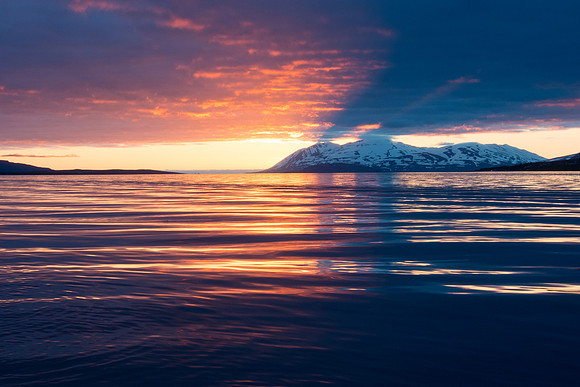 Iceland 2014