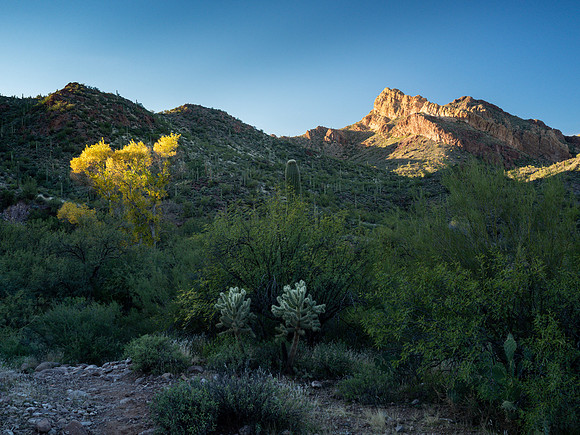 Arizona 2019
