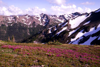 Olympic Peninsula 2012