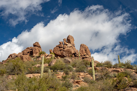 Arizona 2019
