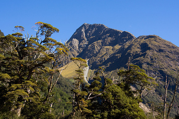 New Zealand 2013