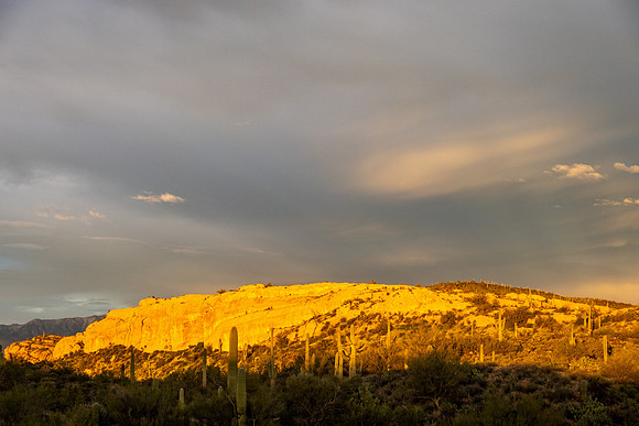 Arizona 2020