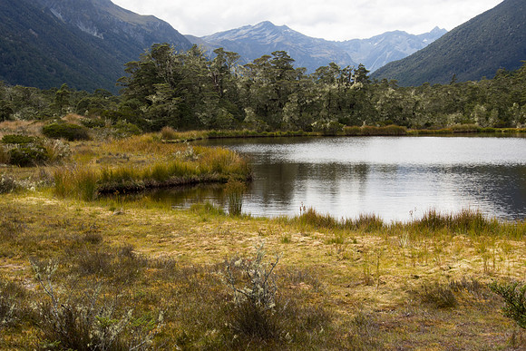 New Zealand 2013