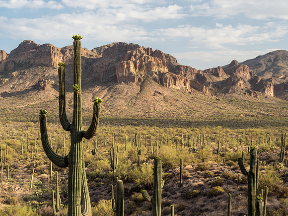 Arizona 2018