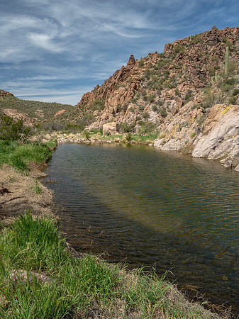 Arizona 2019