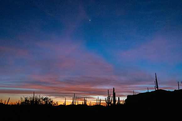 Arizona 2019